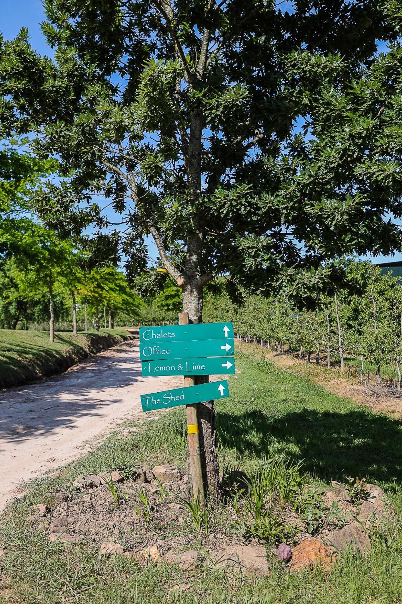 فيلا Galileo Farm إلغين المظهر الخارجي الصورة